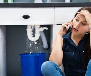 About Emergency plumbing pros Seal Cove, ME